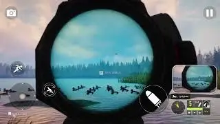 Duck Hunting 3d: Hunting Games