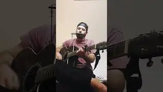Tambourine man harmonica🫶 #acoustic #harmonica