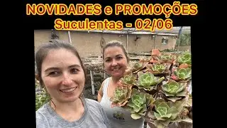 NOVIDADES e PROMOÇÕES - Suculentas - 02/06