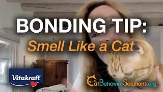 Cat Bonding Tip: Smell Like a Cat