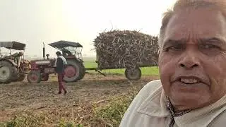 #Agriculture farm.