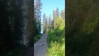 OH LOOK a GROUSE! #shorts