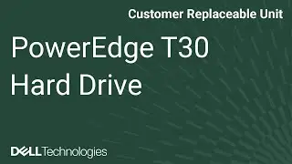 Dell PowerEdge T30: Remove/Install Toolless Hard Drive