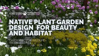 Native Plant Garden Design for Beauty and Habitat (Webinar)