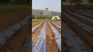 #indianfarmer #indianoccupation #farmer #gardening #agriculture #farm #videoshort #wireless#deshi