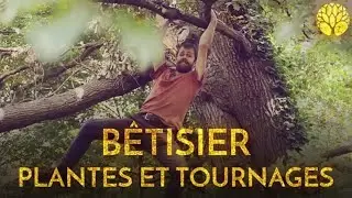 B&ecirc;tisier 2020