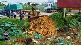 Amazing Start New Project!! Land Fill By Skill Dozer Clear, Pushing Soil Into Huge Pond & Dump Truck