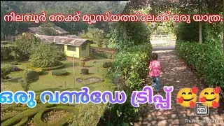 നിലമ്പൂർ തേക്ക് മ്യൂസിയത്തി ലേക്ക് ഒരു യാത്ര !!!nilambur thekk museum @SNmediakidstar