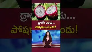 Dragon Fruit Health Benefits & Nutrition | Ntv