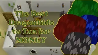 Best Dragon Hide to Tan for Money Making