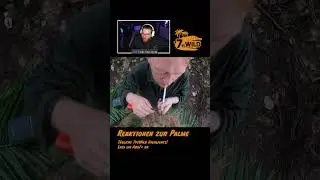 Erste Reaktionen zu Knossis Palme 🔥🌴Wenn die Sucht kickt 🤭 #shorts #7vswild