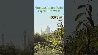 Mumtaz photo point at taj nature walk . Take photo with Tajmahal
