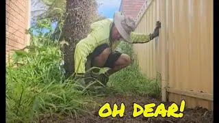 Tuesday's Gardening Disaster Turned Into A HUGE Weeding Success!