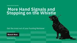 More Hand Signals and Stopping on the Whistle