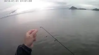 matambaka catching.. Japan: aji 🐟