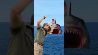 Giant shark survival tutorial #laugh #comedy #animals #wildlife #funny