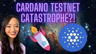 Cardano (ADA) FUD Around Vasil Hard Fork Debunked! What Happened to the Cardano Testnet?!