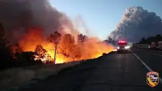 CAL FIRE Grants at Work: Business and Workforce Development - Cal Forest Nurseries