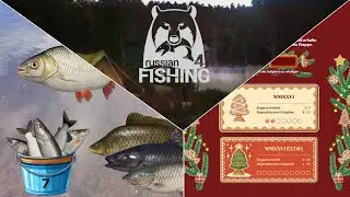 Stufe 6 Non-Premium - Neujahrs Herausforderungen | Russian Fishing 4