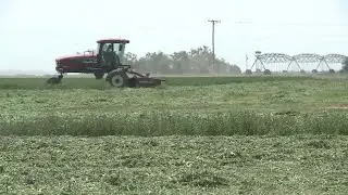 New Mexico ranchers deal with dry, cold, conditions