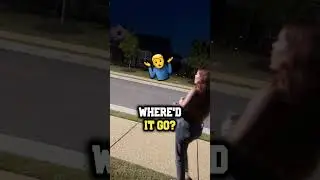 Wife Seeing This Bug For the First Time! | Tom Self