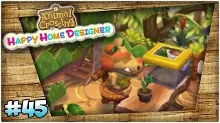 Pappwald!! - Animal Crossing Happy Home Designer - 45 - Balui + Miri