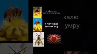 прикол мем #2023 #реки #standoff2 #взлом #приватка #2020 #2021 #cheating #mod #2022 #мем #прикол #ха