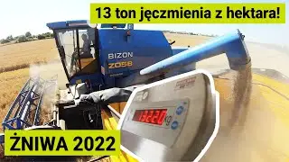 ŻNIWA 2022 Podsumowanie plonowania jęczmienia ozimego Hyvido 2022 | SY BARACOODA