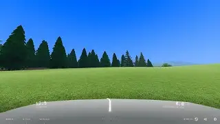 DUMB DRIVER