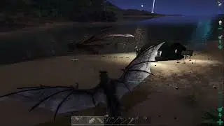 Ark - When the seagull flies too fast