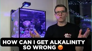 Testing Alkalinity In a Reef Tank: Learn from my mistake