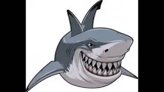 Great White   The Batrays