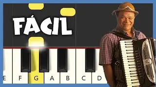 Eu Só Quero Um Xodó - Dominguinhos - PIANO TUTORIAL - PIANO FÁCIL