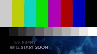 LIVE: Lavrov holds press conference in Turkey  | Viory