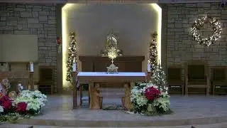 Daily Mass - Holy Family, Novi, MI  01-09-2026 @  9:00 AM