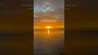 Its your golden hour. 🌅 #shorts #shortsviral #sunsetserenity