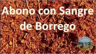 Abono con Sangre de Borrego/El Micro Rancho