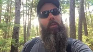 Felling trees and Off Grid Cabin update July 2016 (SE 1 EP 8)