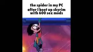 The Spider in my PC after i boot up 600 skyrim mods