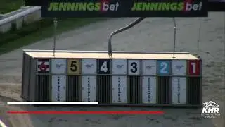 Jacktavern Chief - The Arena Racing Company Puppy Trophy Semi Final 2