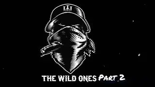 THE WILD ONES PART 2