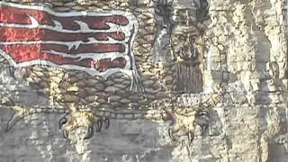 Piasa Bird