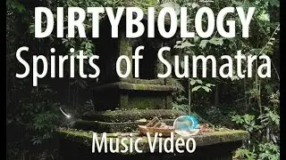 Dirtybiology - Spirits of Sumatra (Music video)