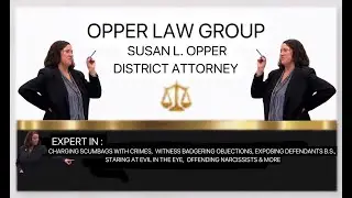 DARRELL BROOKS Sentencing recommendation from Attorney Sue Opper ( full speech )