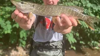 🐟🎣 D&eacute;couverte de la Wixom-1 en 10-30G 🎣🐟