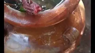 Riceremony  Poo Kal