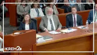 Kim Kernodle, Xana's aunt gives statement during Kohberger's sentencing hearing