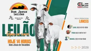 LEILÃO GADO DE CORTE BOM JESUS LEILÕES | BOM JESUS DO TOCANTINS - 26/01/2026
