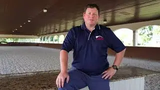 Essential Summer Horse Transport Tip: Ventilation for a Comfortable Ride
