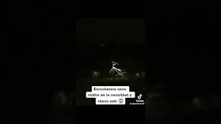 Sucesos paranormales en el bosque